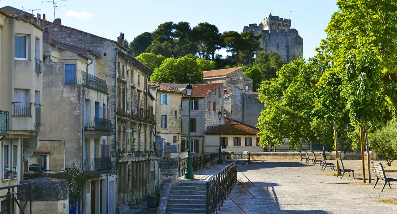 Tarascon ville
